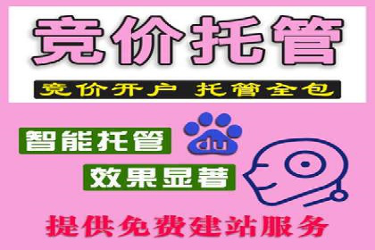百度推广费用的投入与市场占有率提升的关联案例